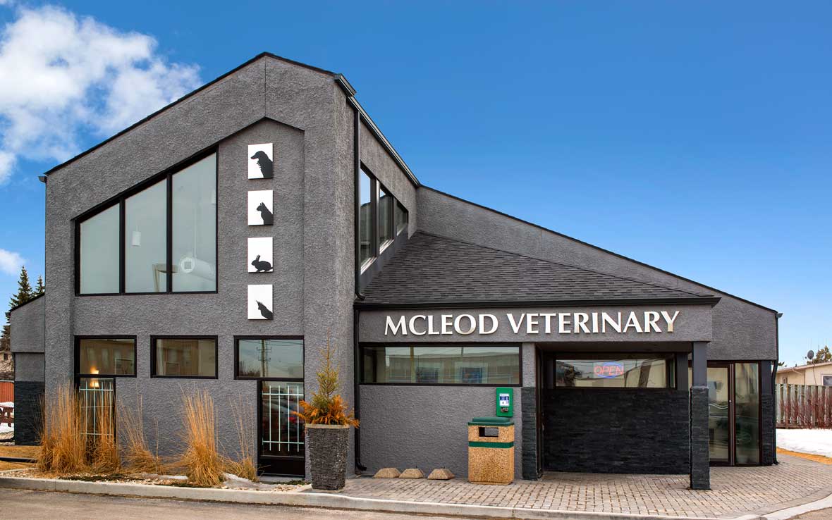 The exterior of McLeod Veterinary Hospital