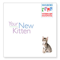 Download McLeod Vet Clinic's information on getting a new kitten