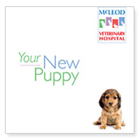 Download McLeod Vet Clinic's information on getting a new puppy
