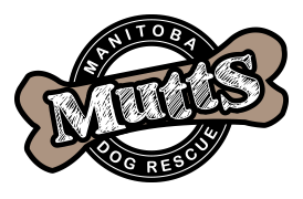 Visit Manitoba Mutts