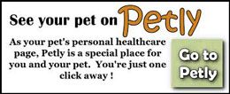 See your pet on Petly