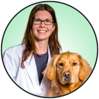 Meet Dr. Alison Bowles. One of the friendly compasionate doctors at McLeod Vet Clinic.