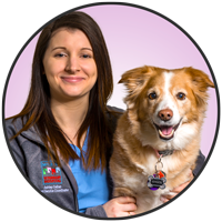 Ashley Chwartacki is one of the friendly helpful, receptionists at McLeod Vet Hospital.