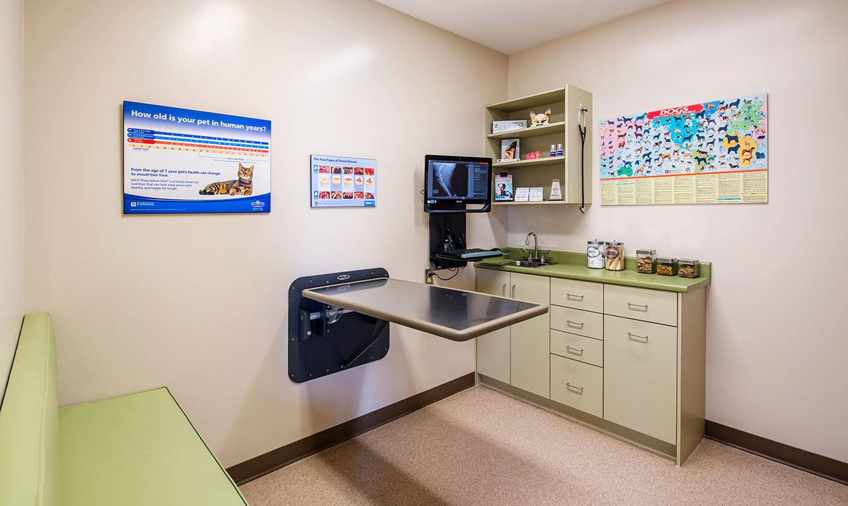 McLeod Vet Clinic examination room