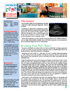 Mcleod Vet news letter. February 2010