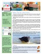 Mcleod Vet news letter. July 2010