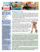 Mcleod Vet news letter. July 2011