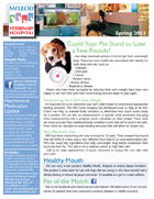 Mcleod Vet news letter. Spring 2013