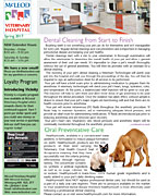 Mcleod Vet news letter Spring 2017